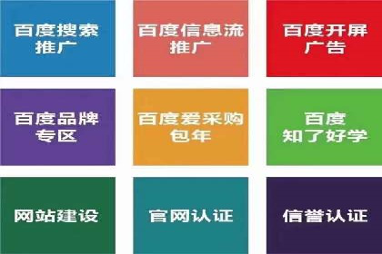 专业SEM服务公司案例分析报告